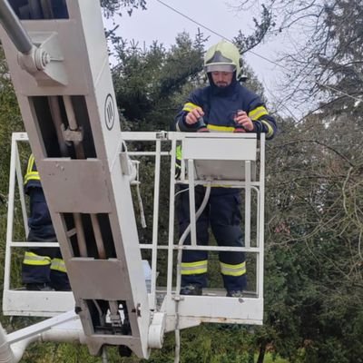 jannpaulikk's profile picture. 