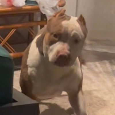 Traderesearchac's profile picture. 