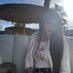 Melania (@yasmincajidos) Twitter profile photo Melania (@yasmincajidos) Twitter profile photo