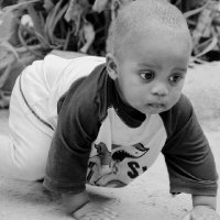 M_B_O_Z_I _b 🏆 (@alexmweusi) 's Twitter Profile