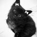 m (@motifdamasta) Twitter profile photo m (@motifdamasta) Twitter profile photo