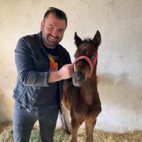 Hakan AYDIN (@hakanaydin0029) Twitter profile photo