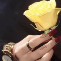 بنت القريات اطلع سهرااات ممممم_حونة (@bnthwnt12422) 's Twitter Profile