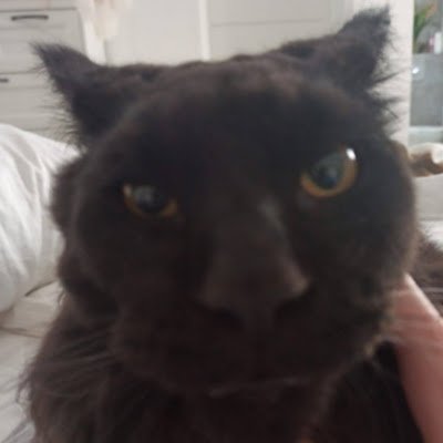 spider58967's profile picture. 