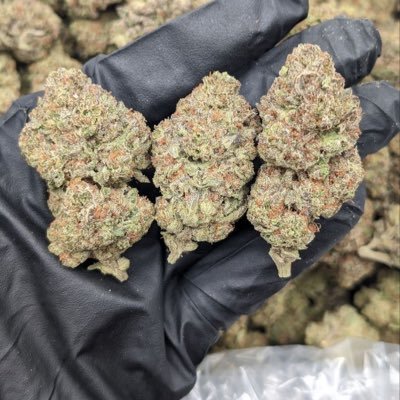 FlipsTrips's profile picture. we take pride on getting packs to your doorstep 📦🚚 https://t.co/bDNDGYH1Qu LETS WORK!