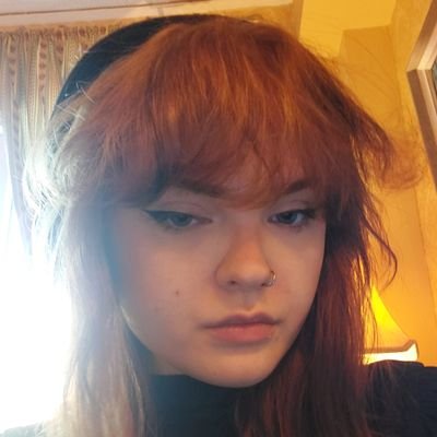 lilstitch16's profile picture. ☆linnea ¦ 20☆trans-inclusionary radfem☆uni student☆