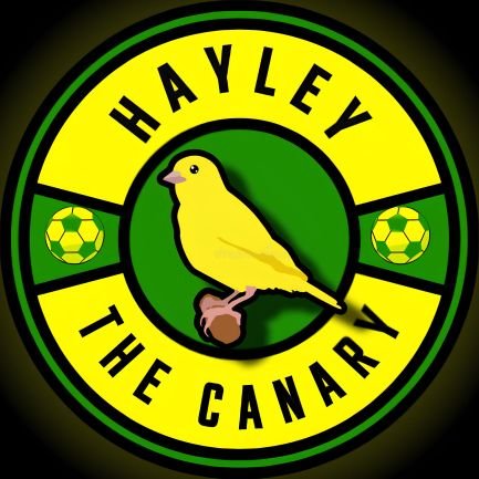 🔰Hayley🔰さんのプロフィール画像
