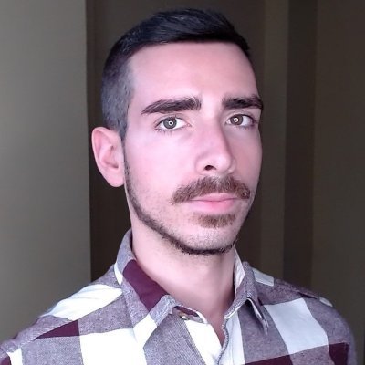 effusivemind's profile picture. the only flag I'll ever need 🇺🇸. gay, not stupid. the "modern audience" doesn't exist