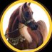 العاتي (@am_5118) Twitter profile photo العاتي (@am_5118) Twitter profile photo
