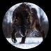 Tony Eff (not monetised) (@buzzkillf) Twitter profile photo Tony Eff (not monetised) (@buzzkillf) Twitter profile photo