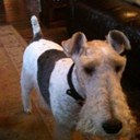 terence haley - @terence747 - Twitter