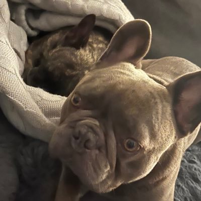 craig_warn36873's profile picture. bedroom music maker on SoundCloud & crypto enthusiast