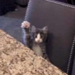 specialcheese95's profile picture. squiggle