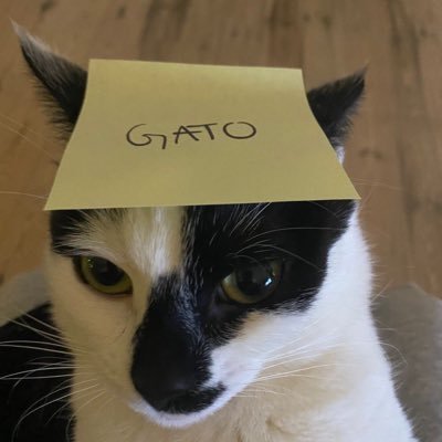 Icy49275036's profile picture. 