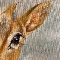 🦌. (@alianiaqah) 's Twitter Profile