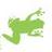 LeapfrogComms's profile image