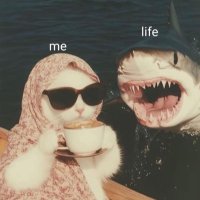 BaSma (@basmaelshamia) 's Twitter Profile Photo