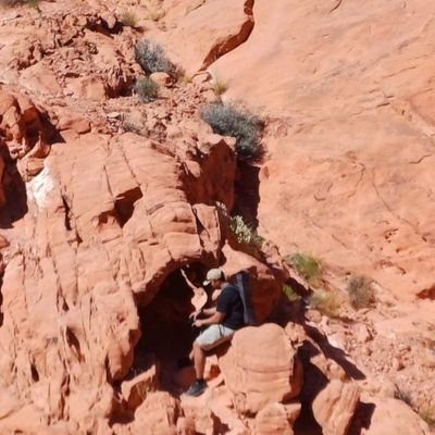 delogicz's profile picture. deep dreamer.

ML Research  @ German Aerospace Center