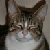 MauBast777 (@maubast777) Twitter profile photo MauBast777 (@maubast777) Twitter profile photo