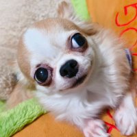 なみを (@kf_730) 's Twitter Profile