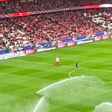 papapapap231581's profile picture. 