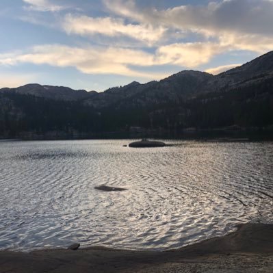 alclimber1's profile picture. 