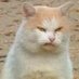 Hound Dawg 123 (@7hound917257) Twitter profile photo Hound Dawg 123 (@7hound917257) Twitter profile photo