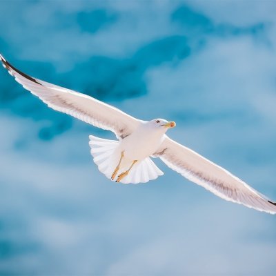 FlystackNow's profile picture. 