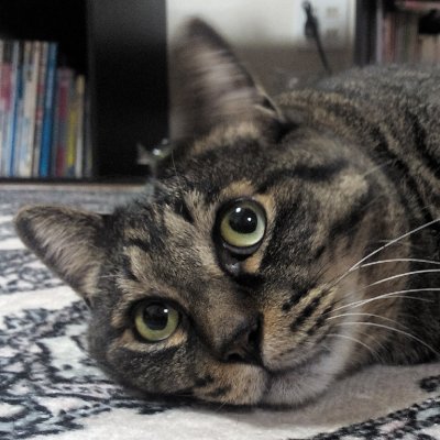 saba0078's profile picture. 趣味の備忘録
🎸🥁🎹♫などスレッド一覧→https://t.co/vqWX7iDtsu