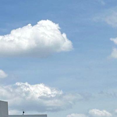 rependentives's profile picture. 成人