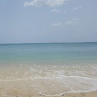 David Lee🇯🇲🇯🇲🇯🇲. utility crypto (@davidle72412702) 's Twitter Profile
