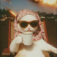 chaiš (@utmostchai) 's Twitter Profile