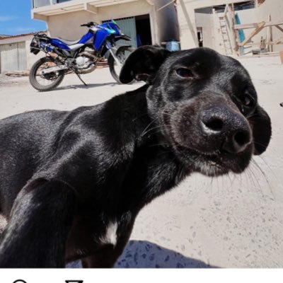 andriipeb's profile picture. 