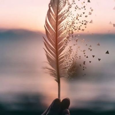 XavierKel03's profile picture. 