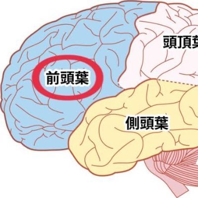 tus 2s B2 /理科大数研 /都数/ 岩澤理論, 伊原ζ関数 / #spm28th 圏論2(前半)/ #毎日勉強 #現目標:岩澤主予想を理解する
Instagram:zentoyo2
note:https://t.co/67OXxBhMdK