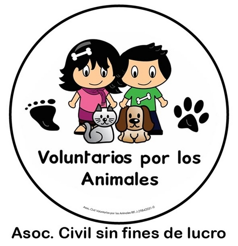 Asoc. Civil con 15 años de labor rescatando y ayudando a animalitos de la calle, abandonados y maltratados 🐕❤️🐈 Caracas. NO TENEMOS SEDE. ¡Únete! 👫