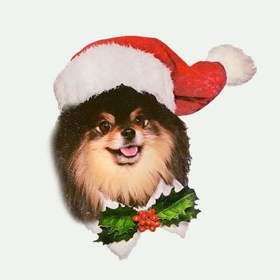 Min_Cezzums's profile picture. ARMY OT7. Bookworm. Geneticist.