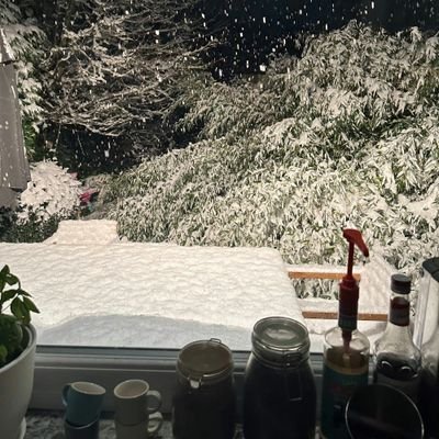 PonypapiL60302's profile picture. 