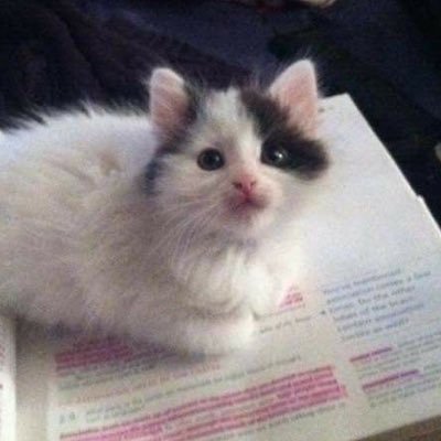 nastya ā eng / ru ā ā ā ā ā I love my bf ā ā ā ā ā ā ā ā ā ā ā ā ā ā ā ā ā ā ā ā ā ā ā ā ā ā ā ā ā ā ā ā ā ā ā ā ā ā ā ā ā ā ā ā ā ā ā ā ( private: @stillnotruined )