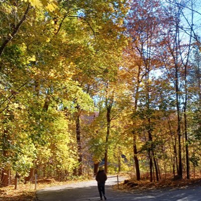 A PhD student with interest in stem cells, the marvelous immune system, and going to the beach 🏝🏊♀️
