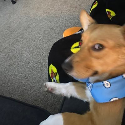 I stream daily (sometimes) | Hot Sauce is under maintenance