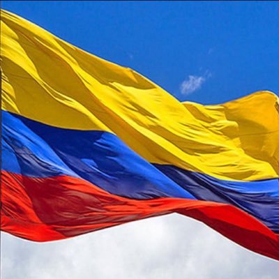 fepins's profile picture. Libertad y orden