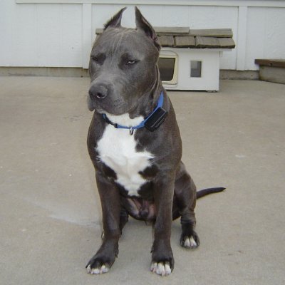 kbecker30's profile picture. Just a guy who loves motorcycles and hockey