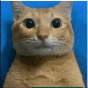 manolinho971373's profile picture. Amogus