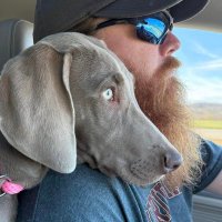 Garrett Whitford (@garrettwhitford) 's Twitter Profile Photo Garrett Whitford (@garrettwhitford) 's Twitter Profile Photo