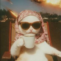 Caffeine OP (@saysayssss) 's Twitter Profile Photo Caffeine OP (@saysayssss) 's Twitter Profile Photo