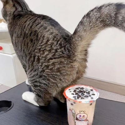 McellhenneySean's profile picture. 