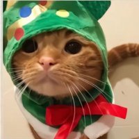 Seftyy. (@seftyyrl) 's Twitter Profile