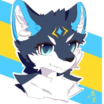 whitedwarf010's profile picture. 這裡是白矮星/興碣/蒼辰，主要看毛圖發毛圖。中文：OK；English：OK。