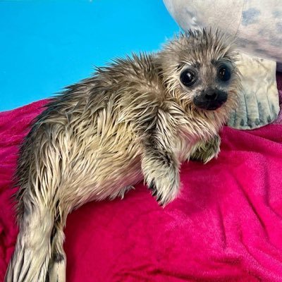 JUMP UP DNB DJ/PRODUCER🐸💚
SEAL LOVER 🦭
https://t.co/xh1a9YiWAl https://t.co/1G0iwb8l3x https://t.co/AGfMc8qGlx